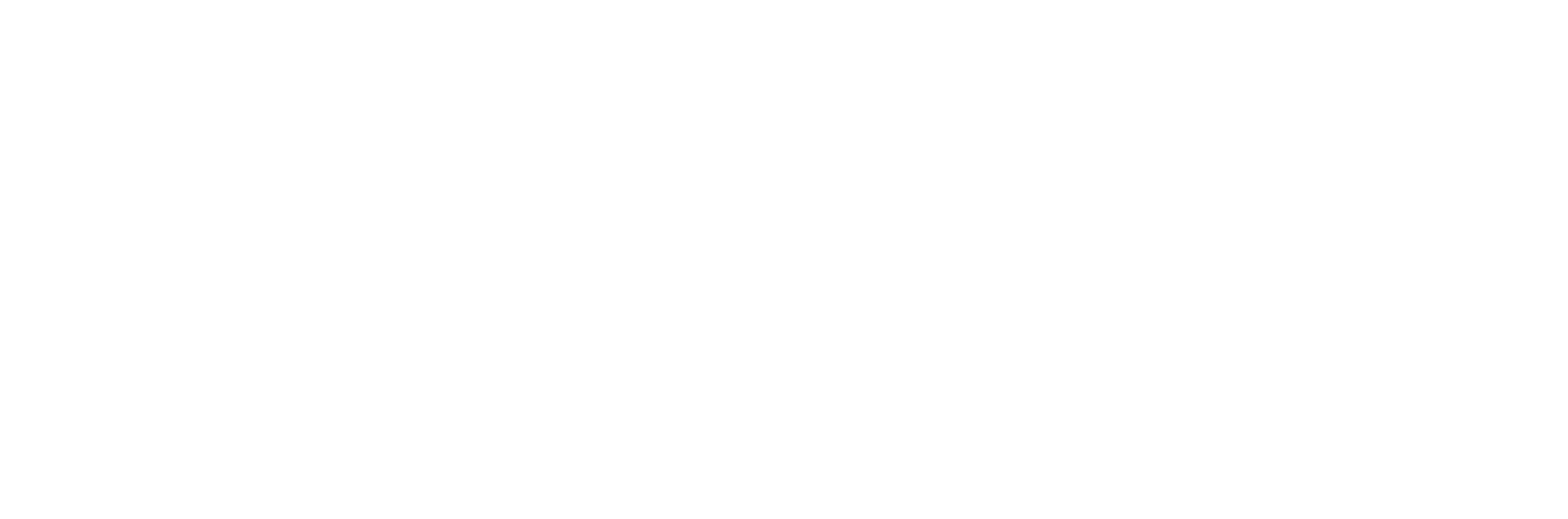 Leadership & Technology Institute